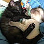 kitten, cat, sleeping, cute, paw, black_cat, cream_cat, denim, legs, cozy, nap, pet, animal, fur, cute_animals, resting, friendship, indoor, closeup, adorable