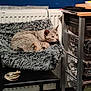 animal, cat, chair, comfort, contemplative, cozy, domestic, fluffy_bed, fur, furniture, gray, household, indoor, metal_shelf, pet, radiator, relaxed, resting, sitting, warm_lighting