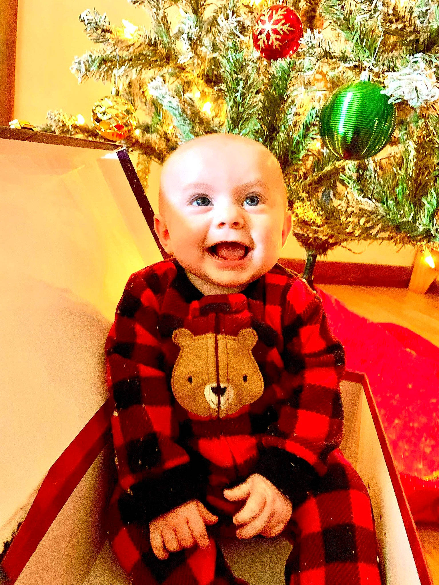 Freya is registered to the contest to win money with this photo: baby, baby_toddler_clothing, christmas_decoration, christmas_ornament, event, eye, fun, grass, happy, head, human_body, leaf, ornament, person, plant, red, sleeve, smile, tartan, toddler