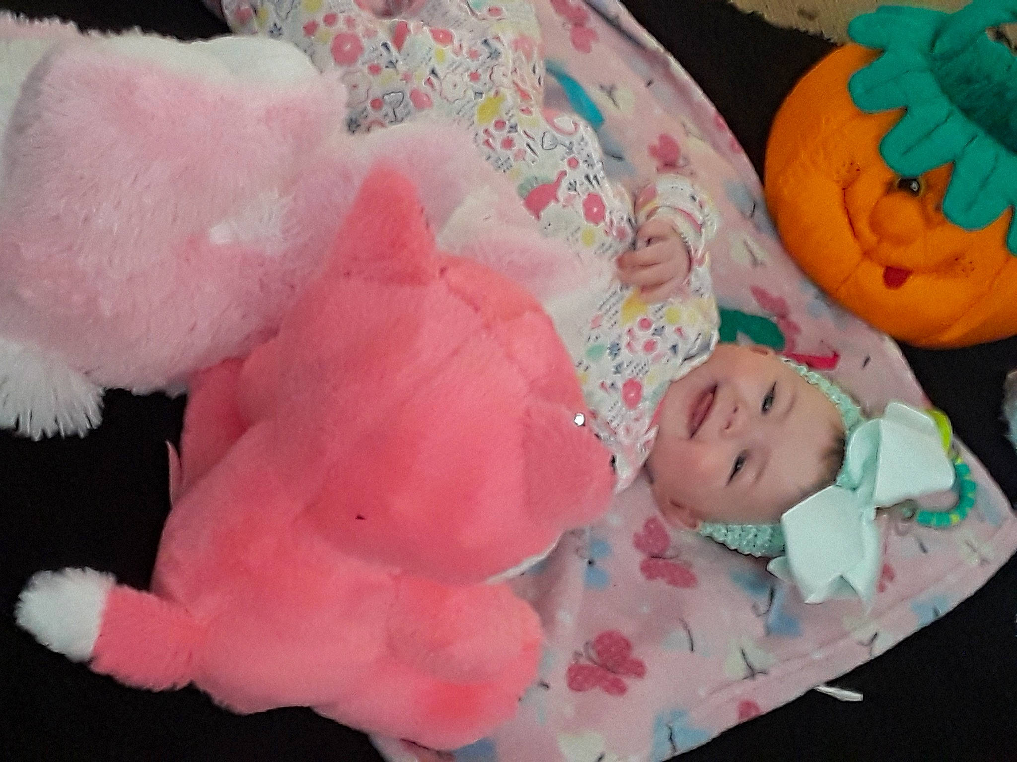 Gwenyth joined the competition — help win amazing prizes! baby, child, joy, person, pink, plush, stuffed_toy, textile, toddler, toy