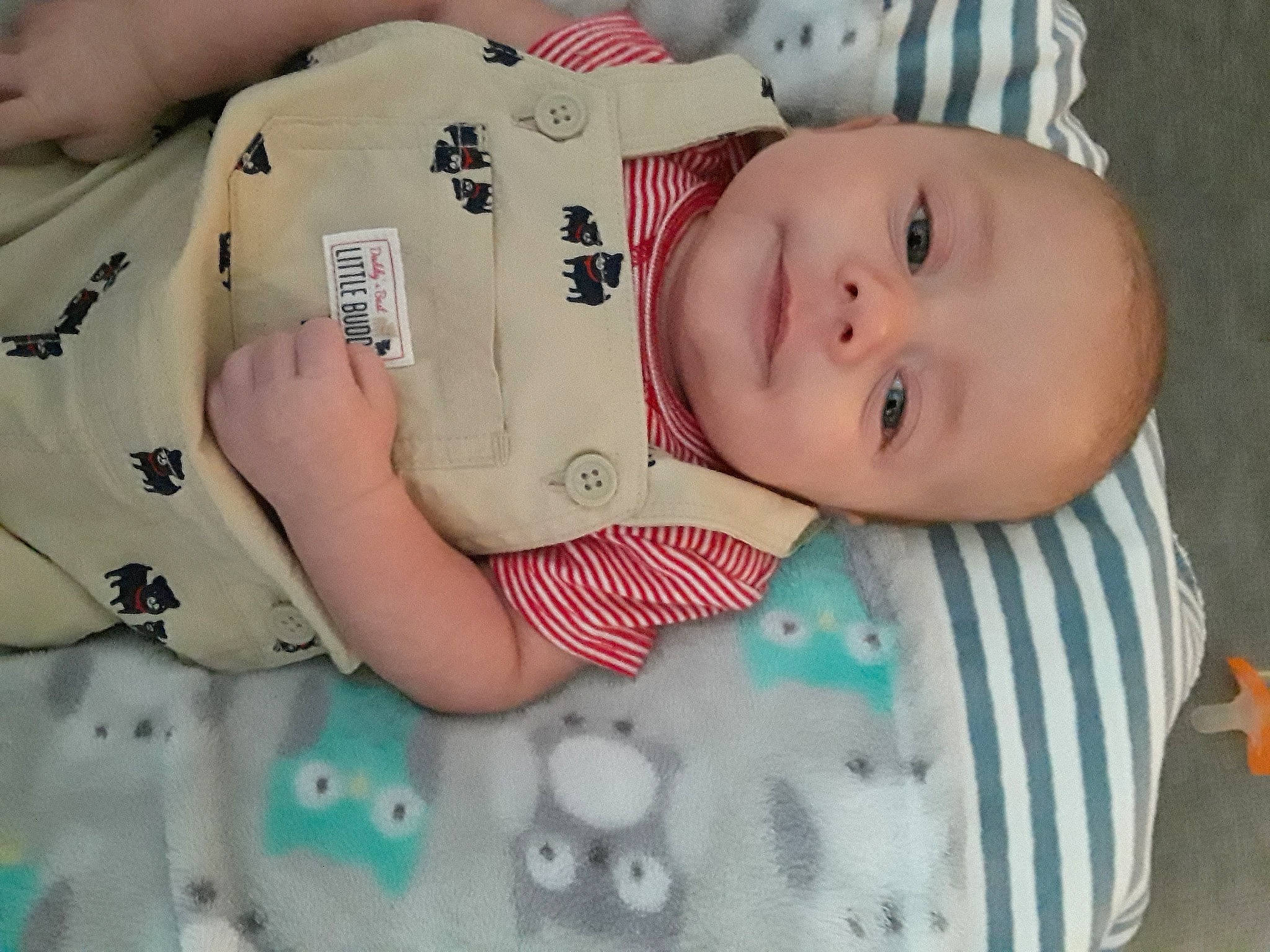 Gavyn is registered to the contest to win money with this photo: baby, baby_products, cheek, child, nose, person, product, skin, toddler