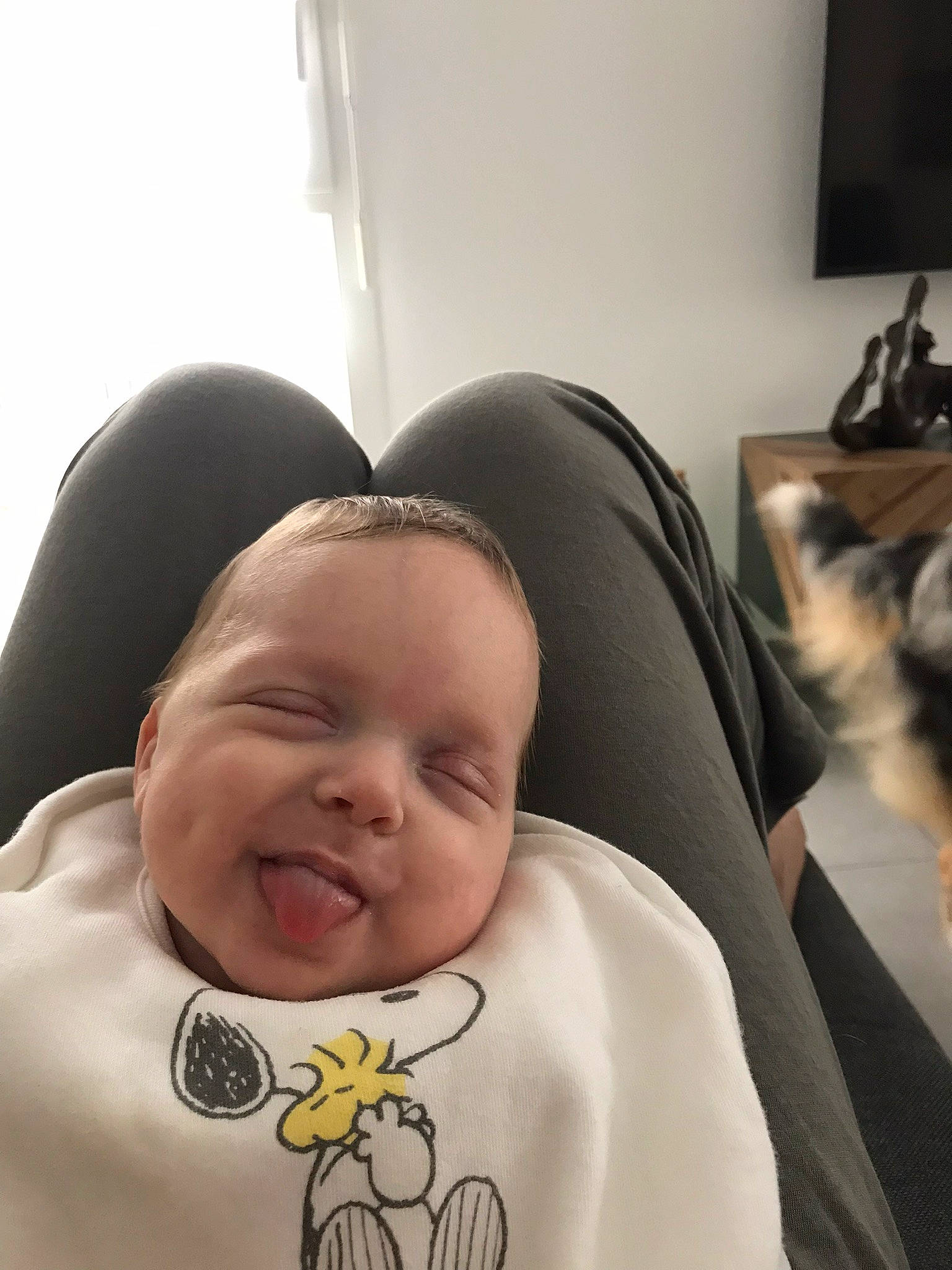 Tara a rejoint le concours — aidez-le/la à gagner de superbes lots ! baby, baby_toddler_clothing, black_hair, cheek, comfort, eye, eyebrow, forehead, happy, linens, mammal, mouth, nose, person, picture_frame, sleeve, smile, t_shirt, textile, toddler