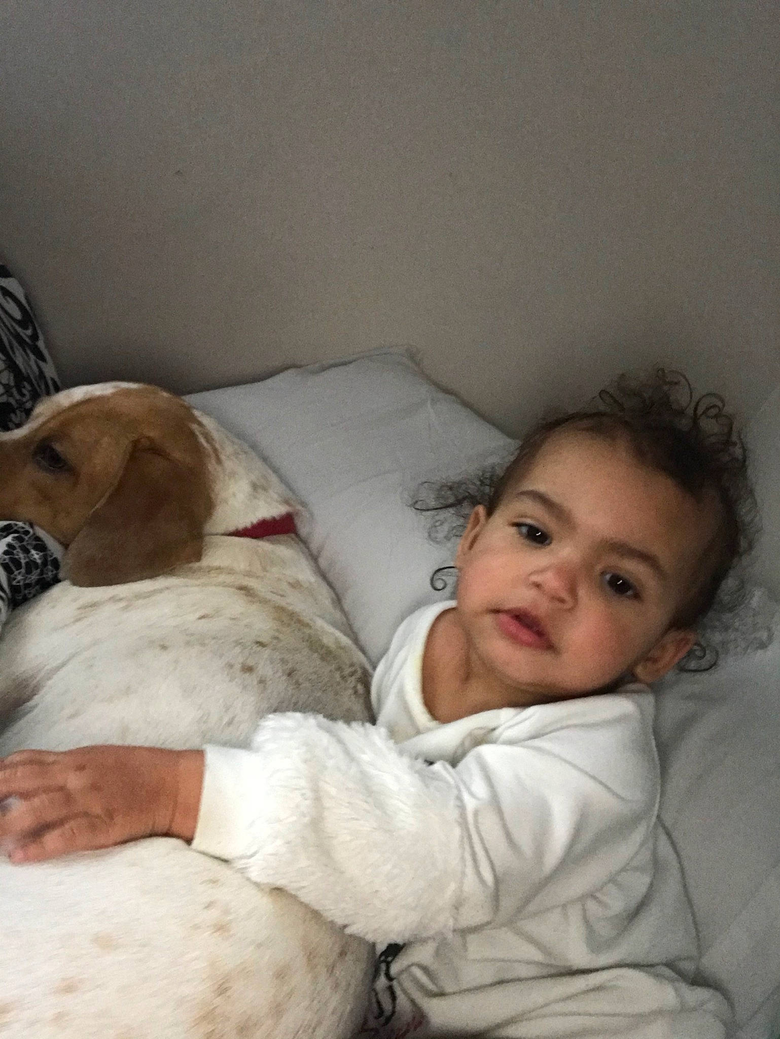 Maisyn is registered to the contest to win money with this photo: baby, bedtime, canidae, carnivore, child, comfort, companion_dog, dog, dog_breed, nap, person, pointer, puppy_love