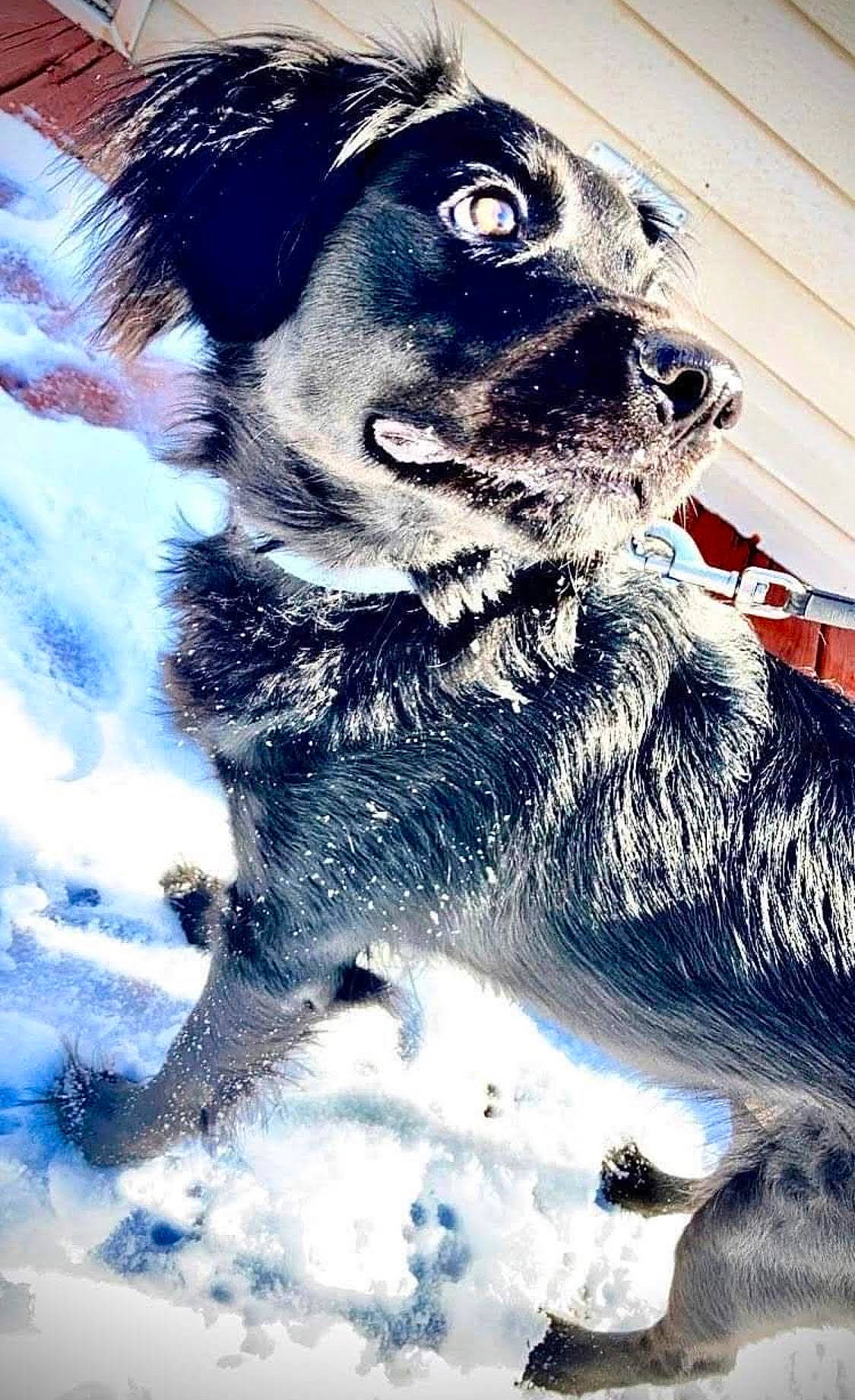 Sunshine On A Cloudy Day