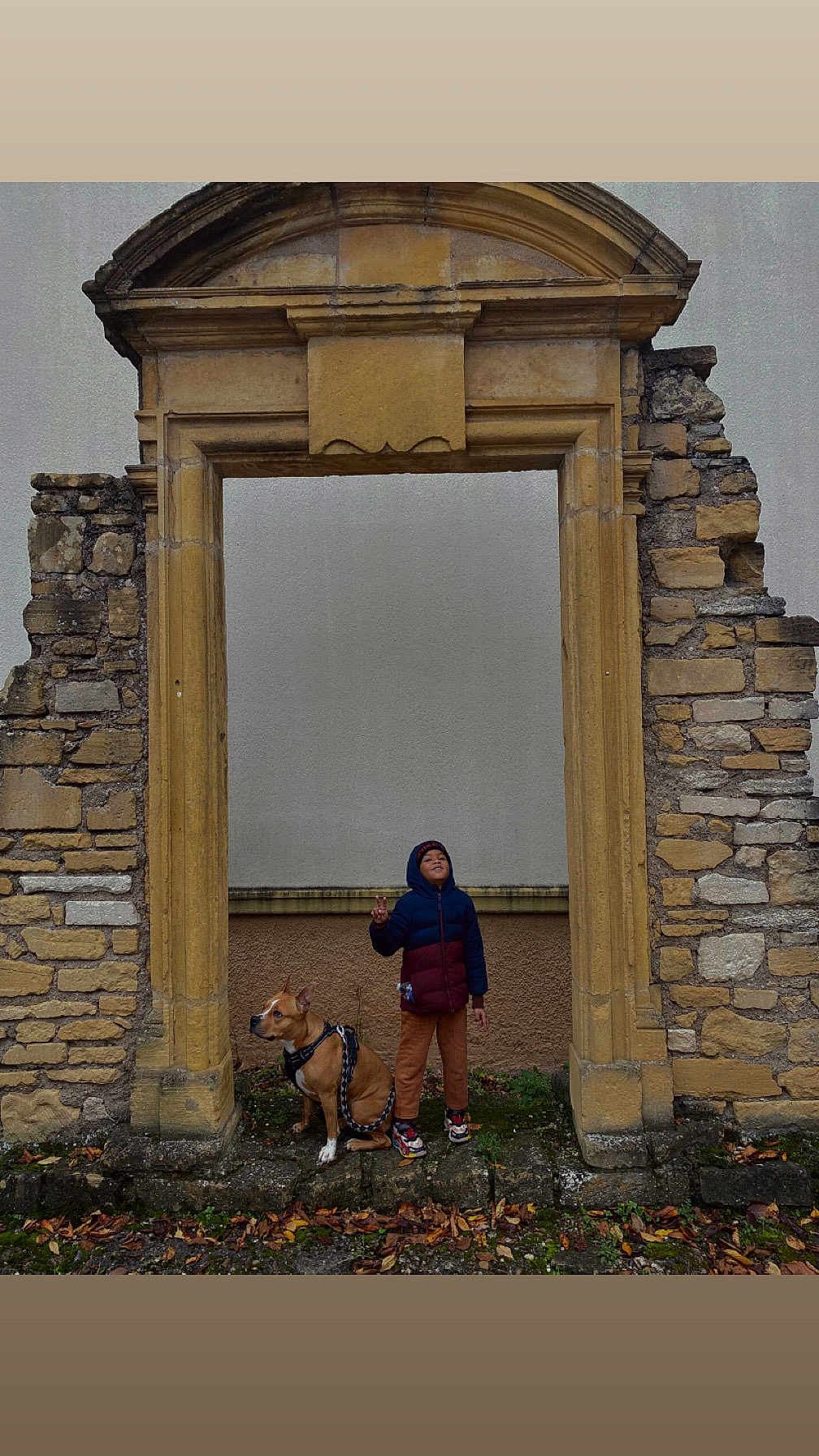 Tania a rejoint le concours — aidez-le/la à gagner de superbes lots ! child, dog, stone_archway, outdoor, fall_leaves, jacket, hoodie, sneakers, historic, wall, sidewalk, leash, pet, brown_dog, standing, sitting, old_stone, casual_clothing, urban, friendship