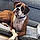 Rosco