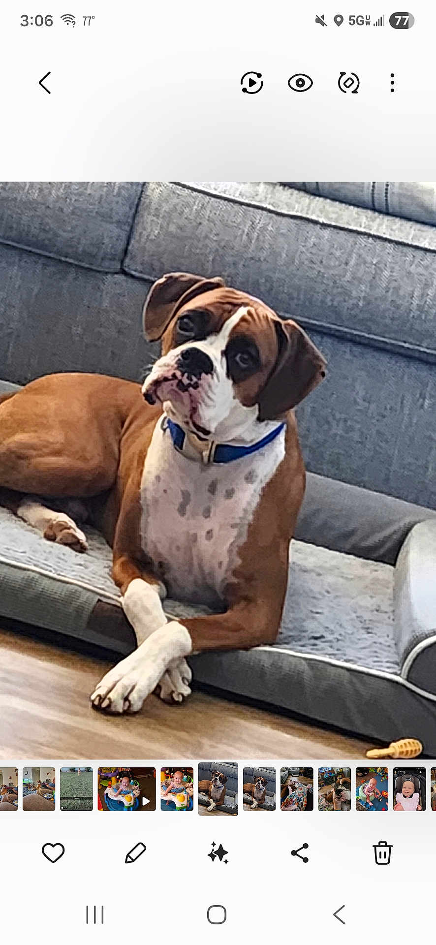 Rosco