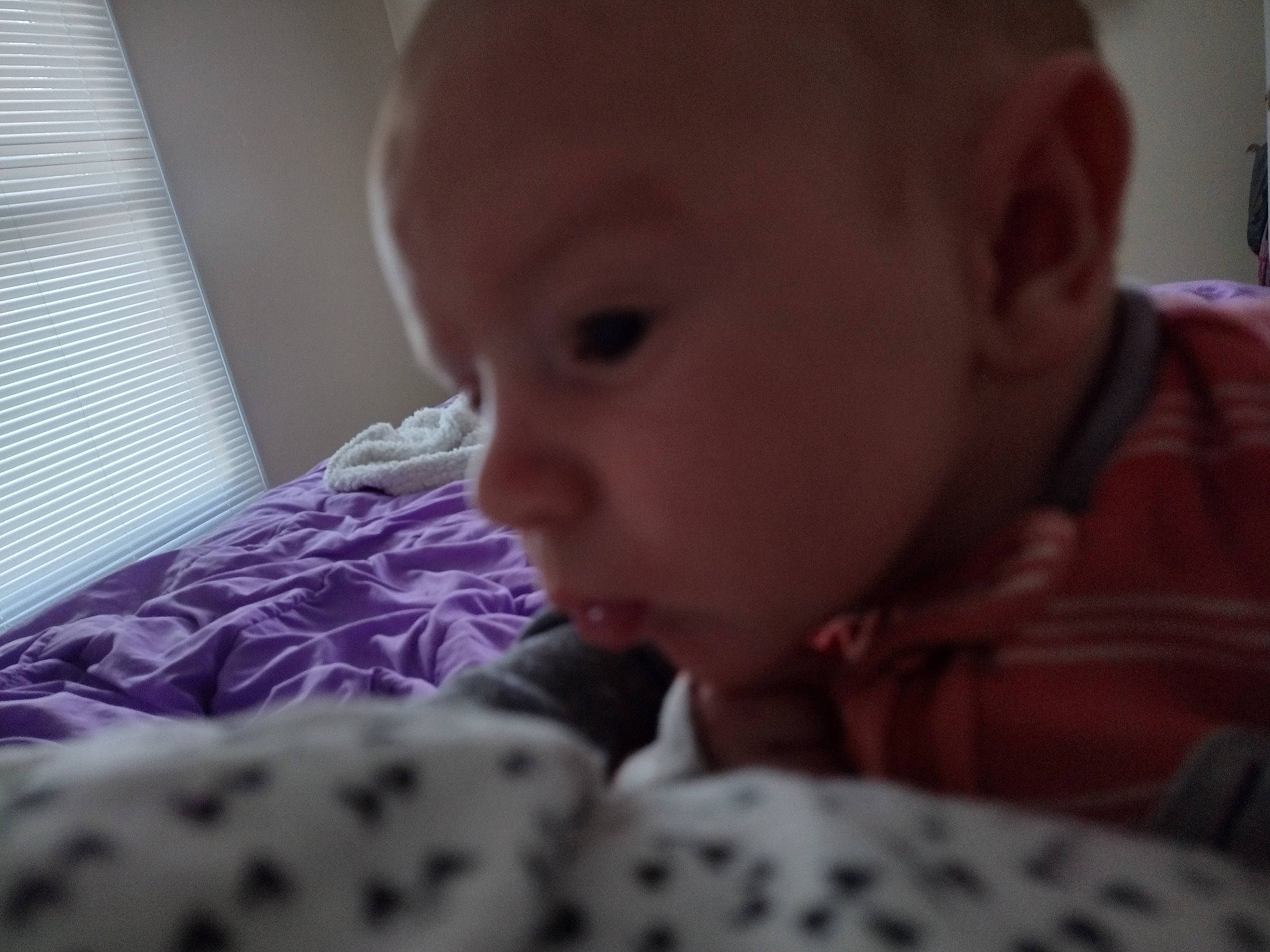 Kevin joined the competition — help win amazing prizes! baby, baby_toddler_clothing, cheek, child, comfort, eyelash, fun, iris, linens, lip, mammal, nose, pattern, person, room, sitting, skin, toddler, window, window_blind