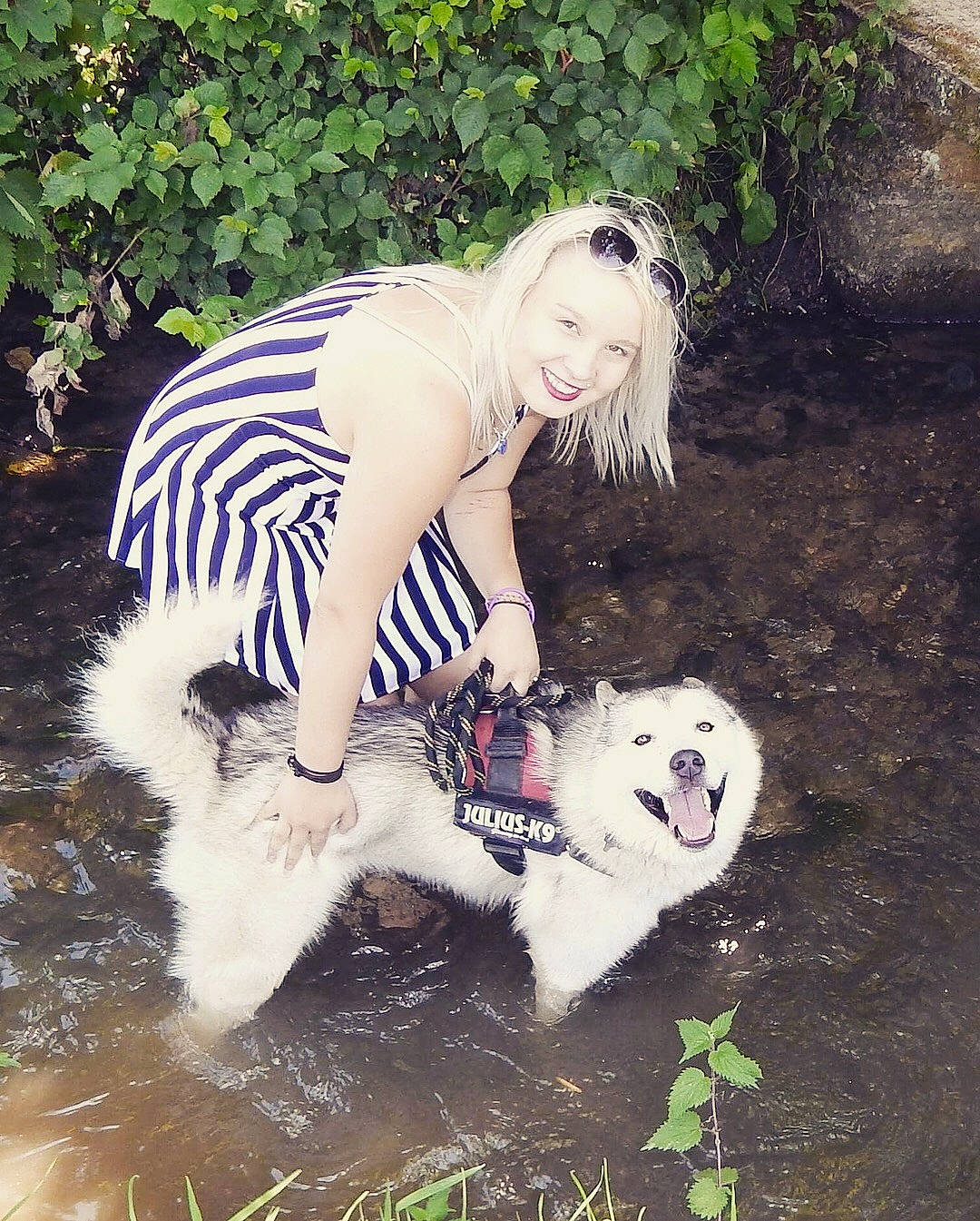 Marley participe au concours pour gagner de l'argent avec cette photo : girl, joy, person, snout