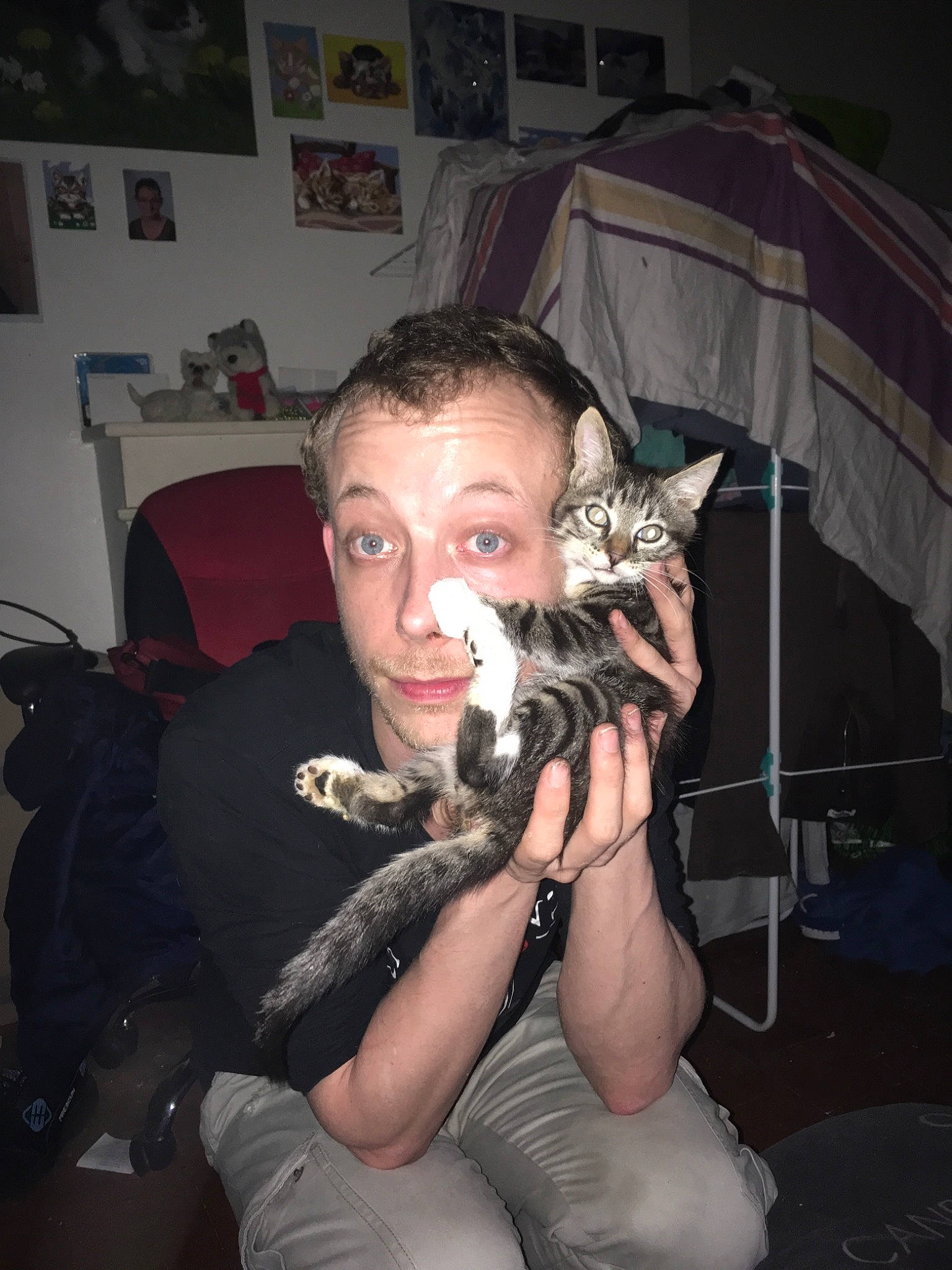 Tigresse participe au concours pour gagner de l'argent avec cette photo : carnivore, cat, felidae, jaw, kitten, person, small_to_medium_sized_cats, sphynx