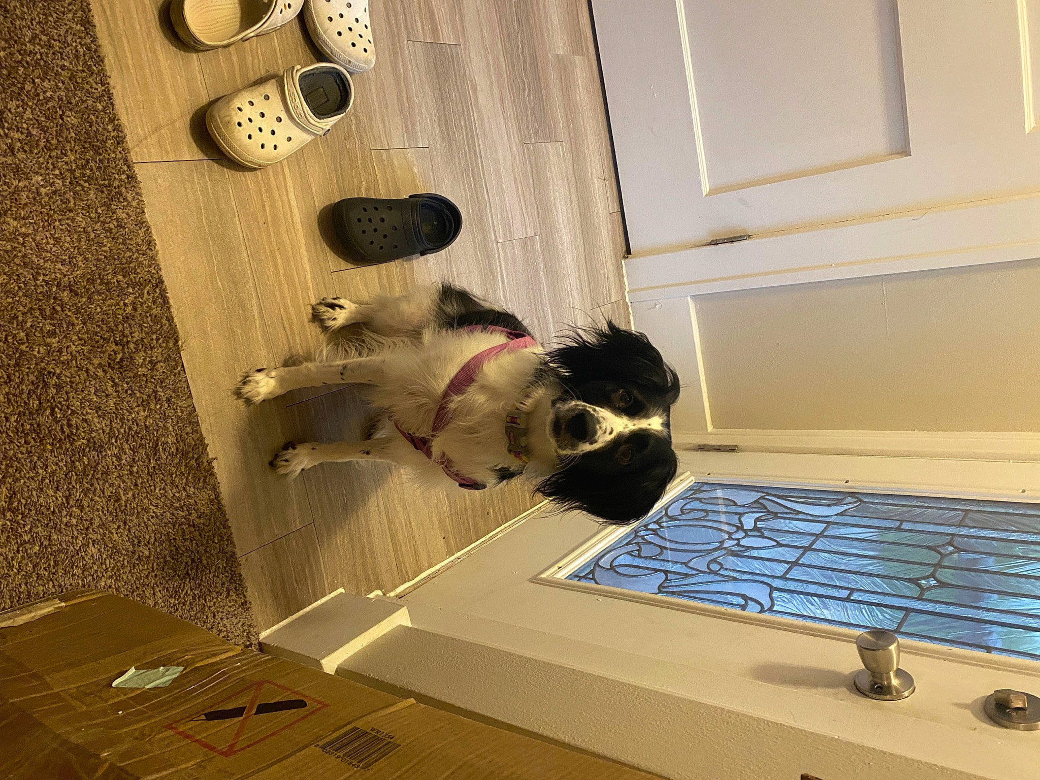 Lila is registered to the contest to win money with this photo: aluminium, composite_material, door, electric_blue, floor, flooring, gas, hardwood, interior_design, machine, metal, plywood, room, solar_energy, space, tile, window, wood