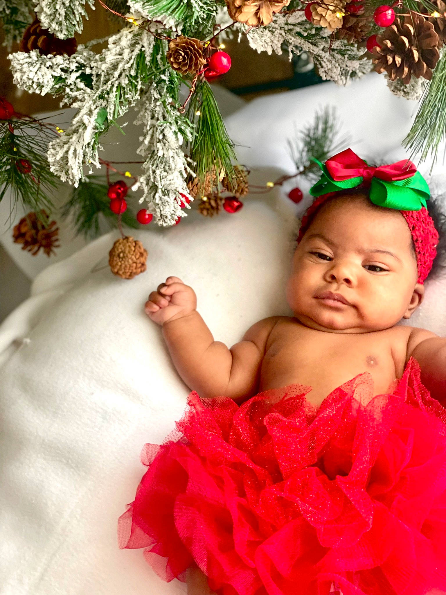 Aydn is registered to the contest to win money with this photo: baby, baby_toddler_clothing, child, christmas_decoration, christmas_ornament, dress, embellishment, event, flower_arranging, happy, headgear, headpiece, ornament, person, petal, plant, red, textile, toddler, tradition