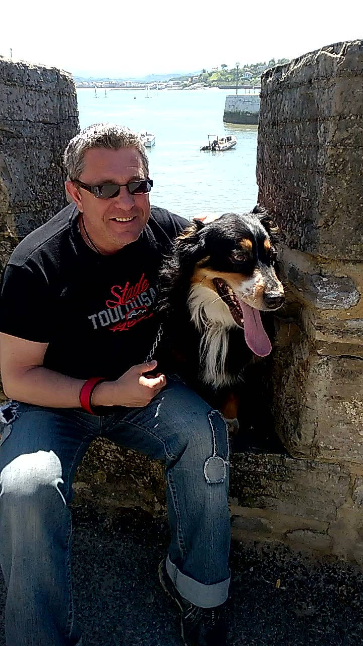 Ilico a rejoint le concours — aidez-le/la à gagner de superbes lots ! australian_shepherd, border_collie, canidae, carnivore, companion_dog, dog, dog_breed, fun, glasses, smile, sporting_group