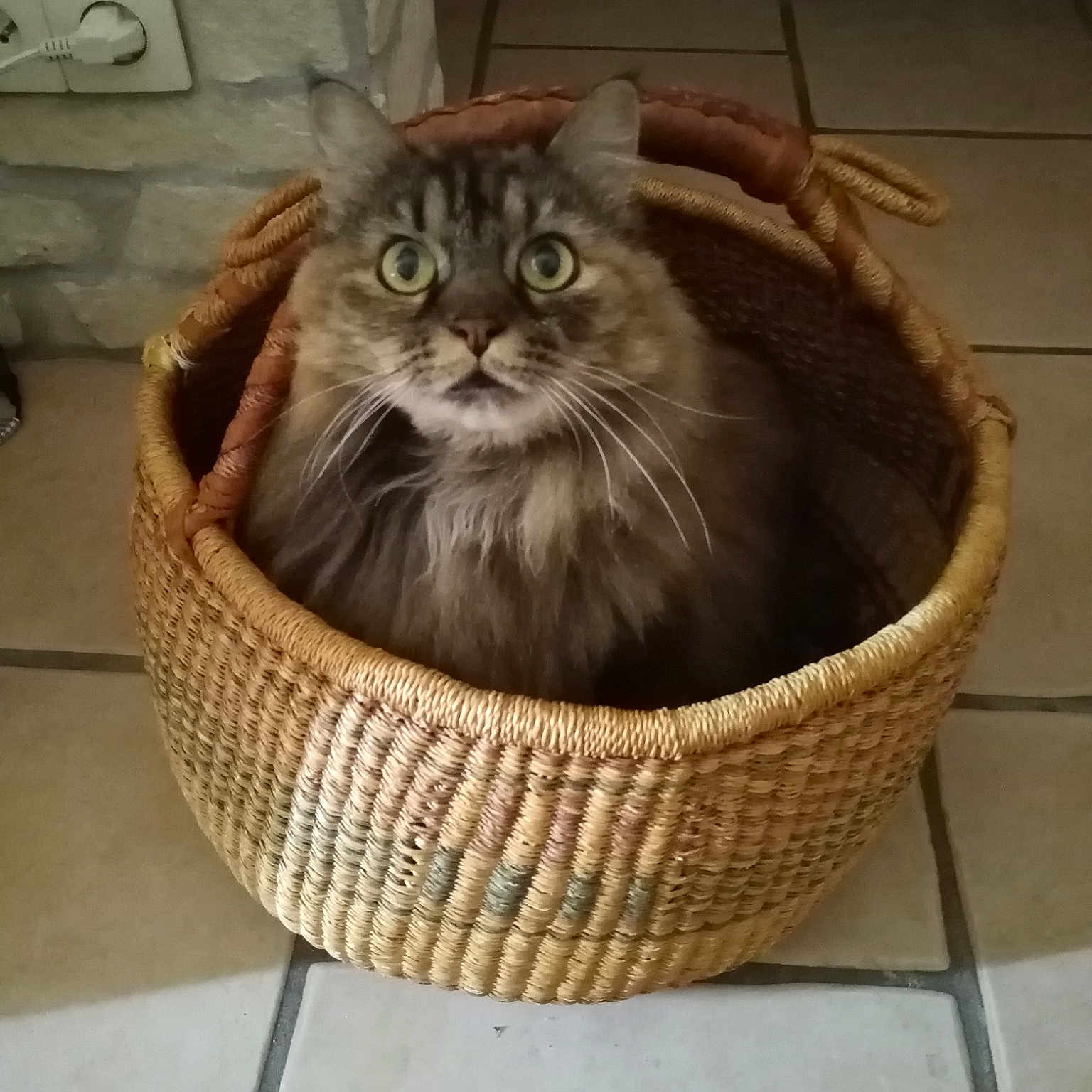 Lilibulle
