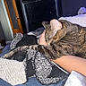 Luna is registered to the contest to win money with this photo: cat, tabby_cat, sleeping, relaxed, indoors, bedroom, blanket, bed, pet, feline, striped_fur, brown_fur, animal, cozy, arm, human, home, resting, closeup, flash_photography