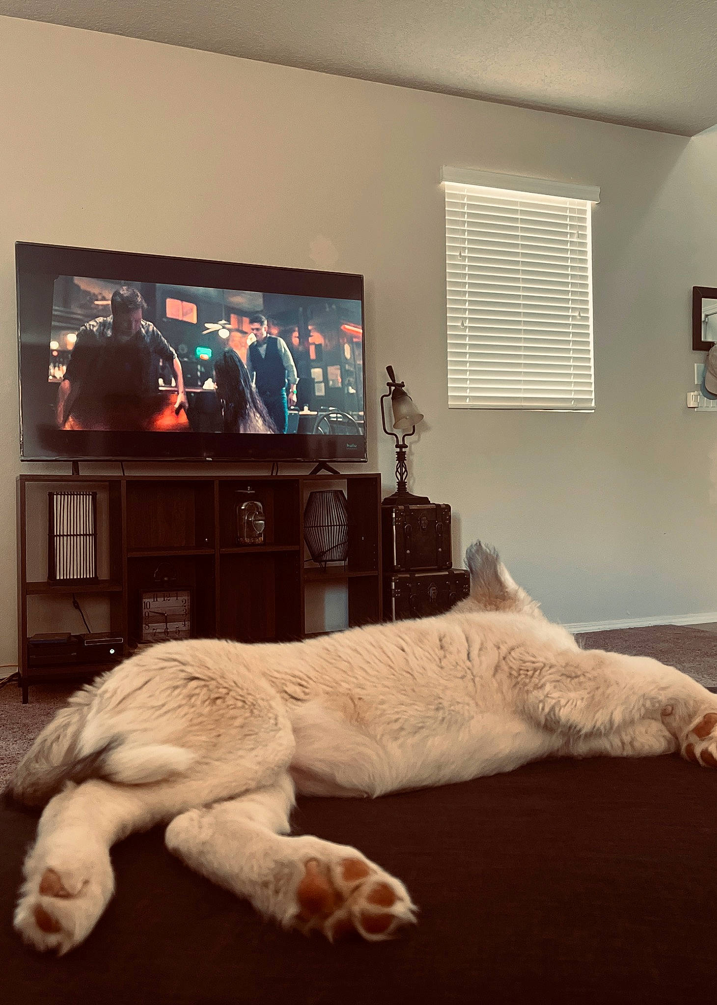 Reign joined the competition — help win amazing prizes! art, bed_frame, cloud, comfort, couch, floor, flooring, hardwood, interior_design, lamp, linens, living_room, metal, picture_frame, selfie, television, television_set, textile, wall, wood