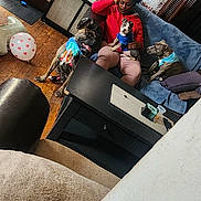 adult, animal, architecture, building, couch, electronics, face, female, furniture, head, homedecor, indoors, interiordesign, livingroom, person, photography, portrait, room, screen, woman