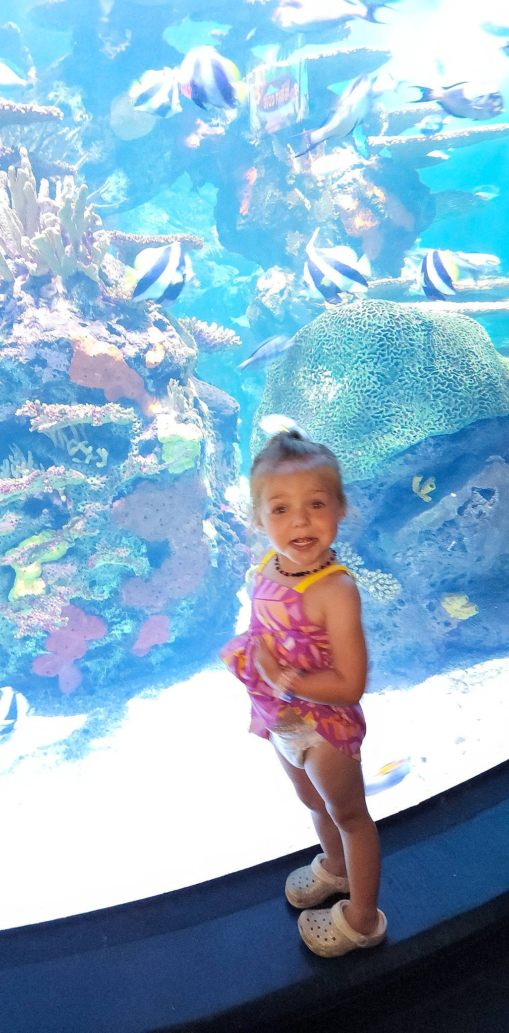 Blakelee is registered to the contest to win money with this photo: aquarium, azure, baby, baby_toddler_clothing, blue, body_of_water, child, electric_blue, fun, happy, leisure, marine_biology, organism, person, recreation, summer, toddler, travel, underwater, water
