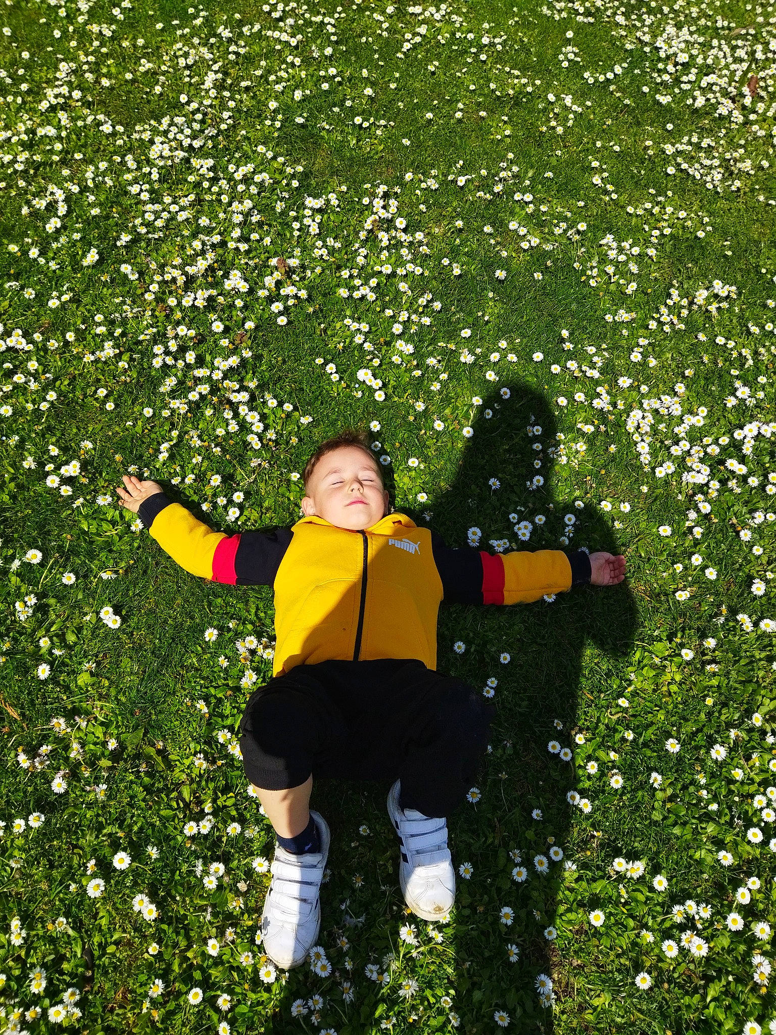 Sofronencu Nichita participe au concours pour gagner de l'argent avec cette photo : botany, flower, gesture, glove, grass, grassland, green, groundcover, happy, hedge, lawn, leaf, leisure, meadow, outerwear, people_in_nature, person, plant, shrub, toddler