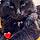 Salem