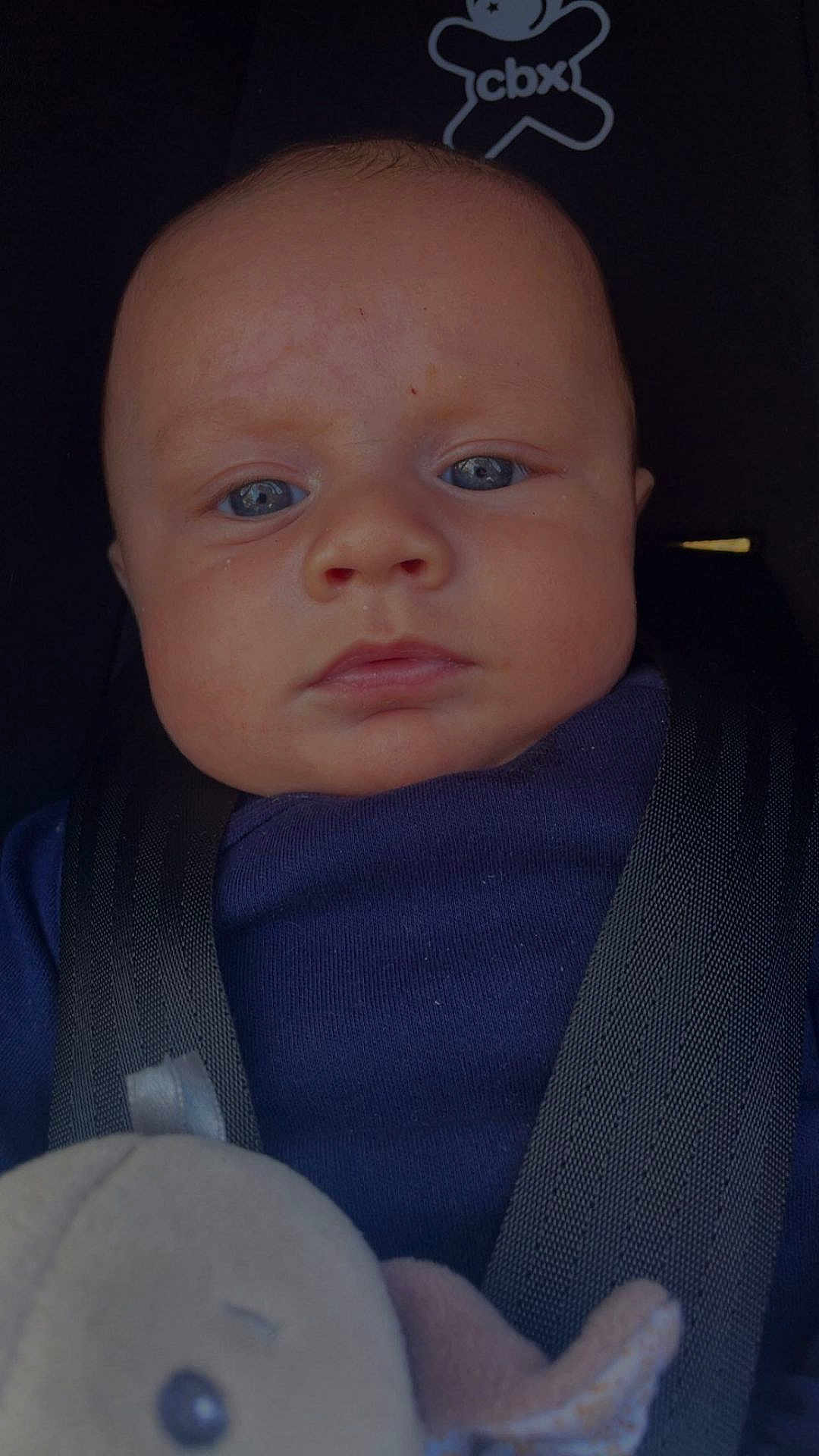 Zénélyo participe au concours pour gagner de l'argent avec cette photo : baby, infant, face, blue_eyes, car_seat, seat_belt, toy, stuffed_animal, clothing, child, portrait, close_up, serious_expression, indoor, person, baby_face, head, soft_toy, baby_clothes, straps