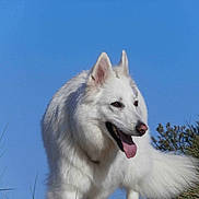 Cristal participe au concours pour gagner de l'argent avec cette photo :