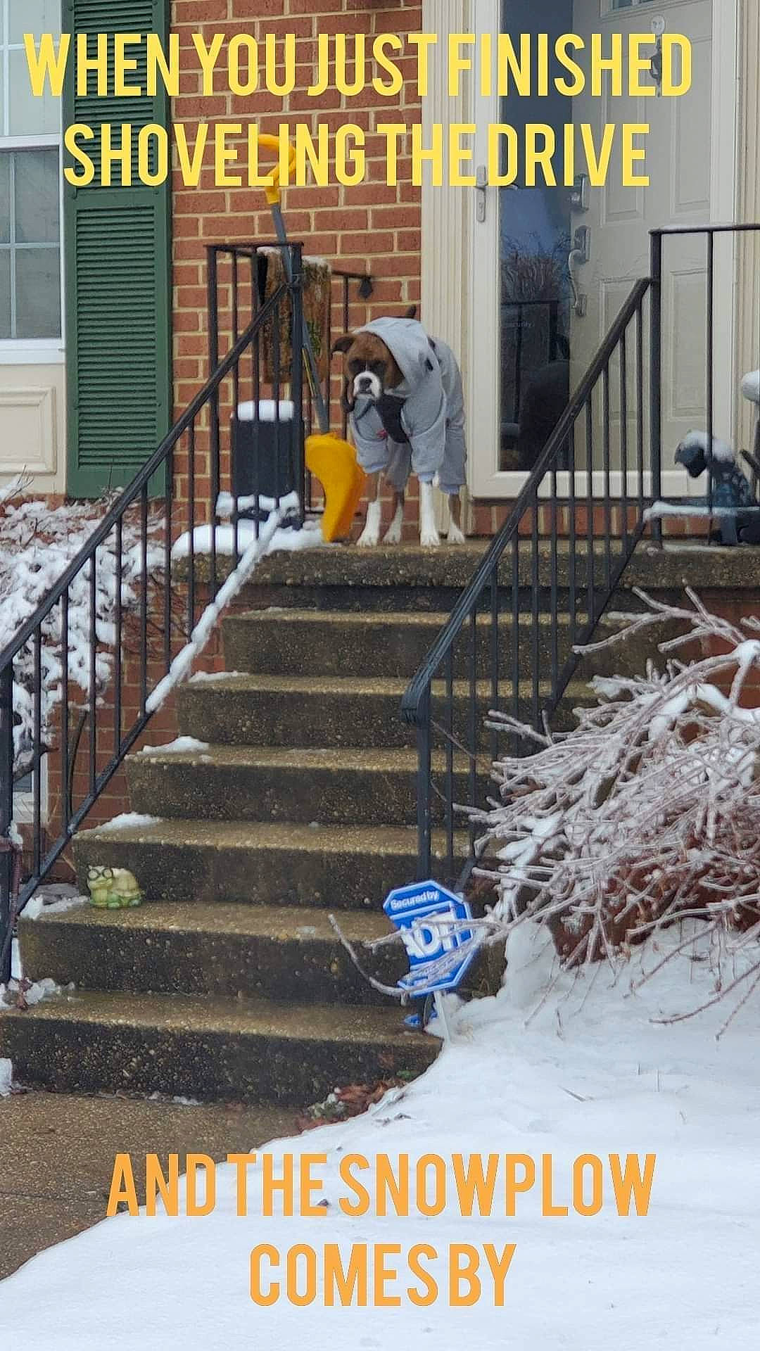 Amenadiel joined the competition — help win amazing prizes! door, fence, flooring, font, freezing, grass, handrail, line, metal, plant, road_surface, shadow, sidewalk, snow, soil, stairs, walkway, winter, wood, yellow