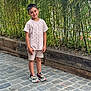 child, boy, smiling, standing, outdoor, greenery, bamboo, cobblestone, casual_clothing, shorts, tshirt, sneakers, nature, plants, daylight, happy, portrait, person, young, urban_nature
