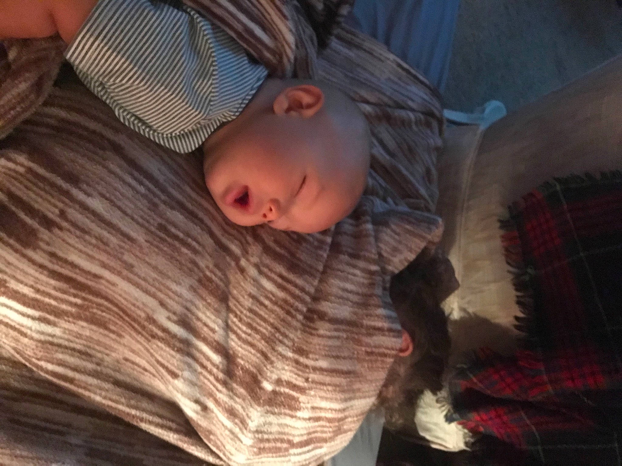 Deangelo is registered to the contest to win money with this photo: child, comfort, flash_photography, fun, fur, grass, happy, iris, leisure, nose, pattern, person, plaid, portrait_photography, room, sitting, sleep, tartan, toddler, tree