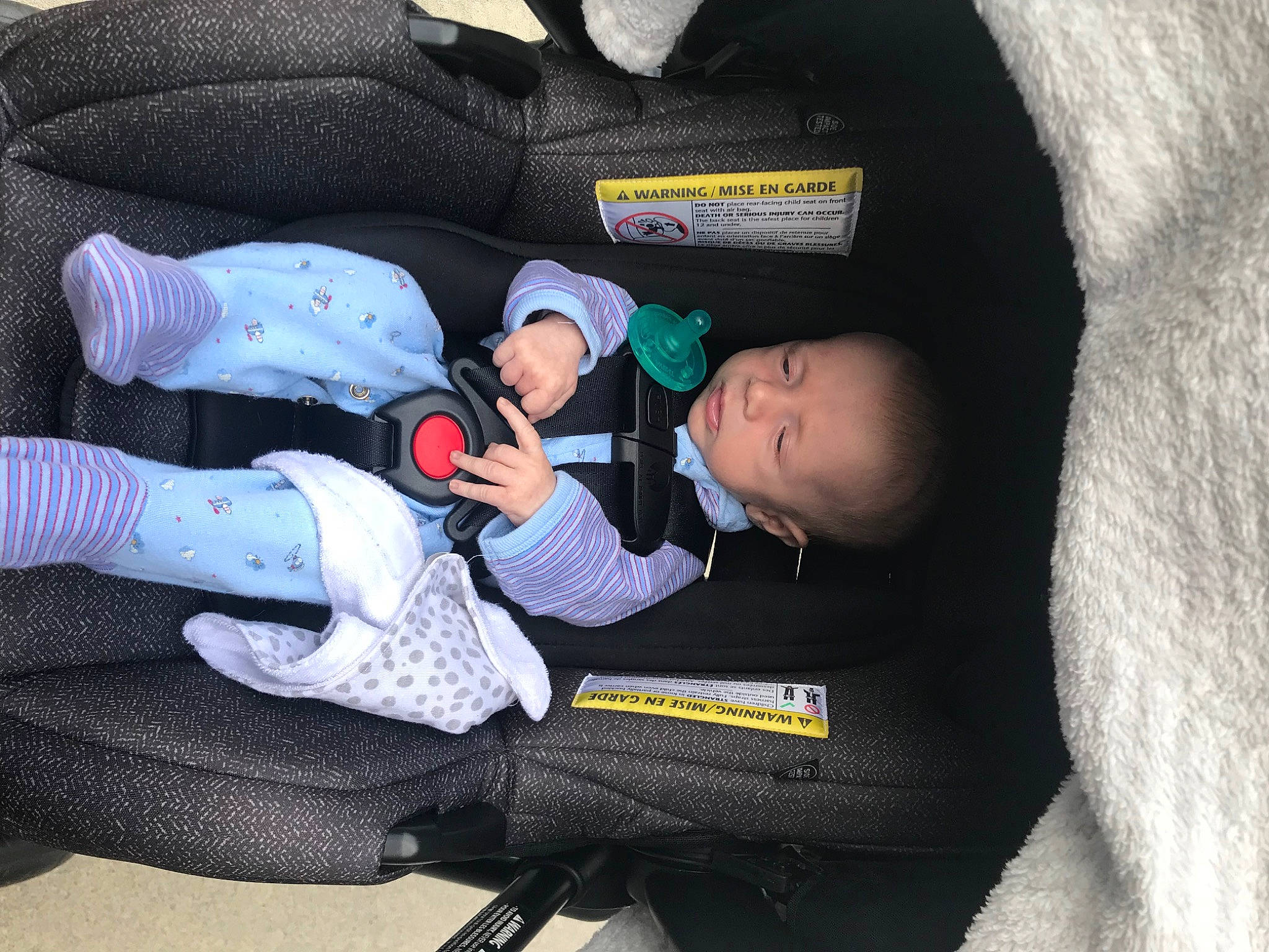 Lewis joined the competition — help win amazing prizes! auto_part, baby, baby_carriage, baby_in_car_seat, baby_products, baby_safety, baby_toddler_clothing, car_seat, car_seat_cover, carmine, child, comfort, lap, nap, person, sitting, sleep, toddler