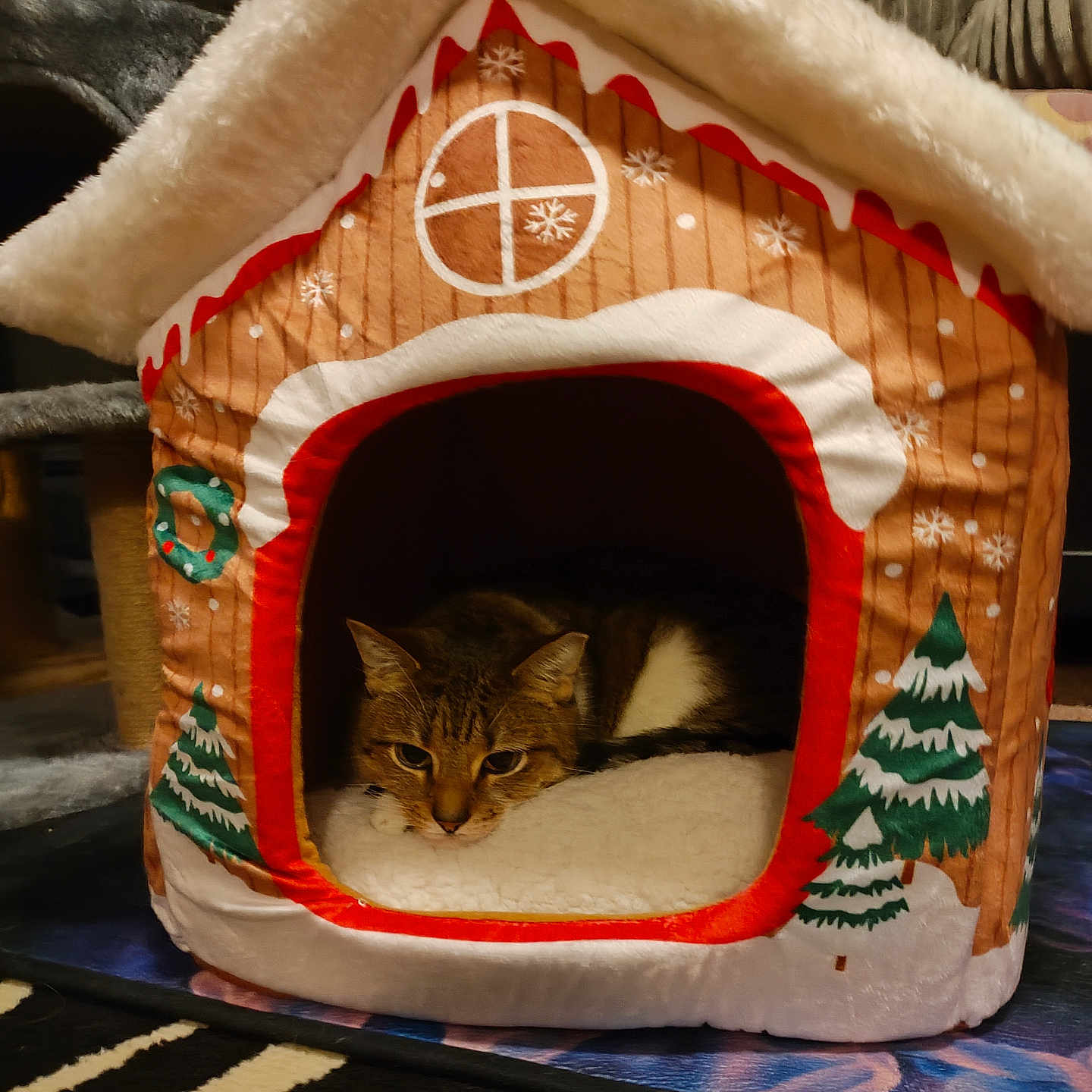Bella