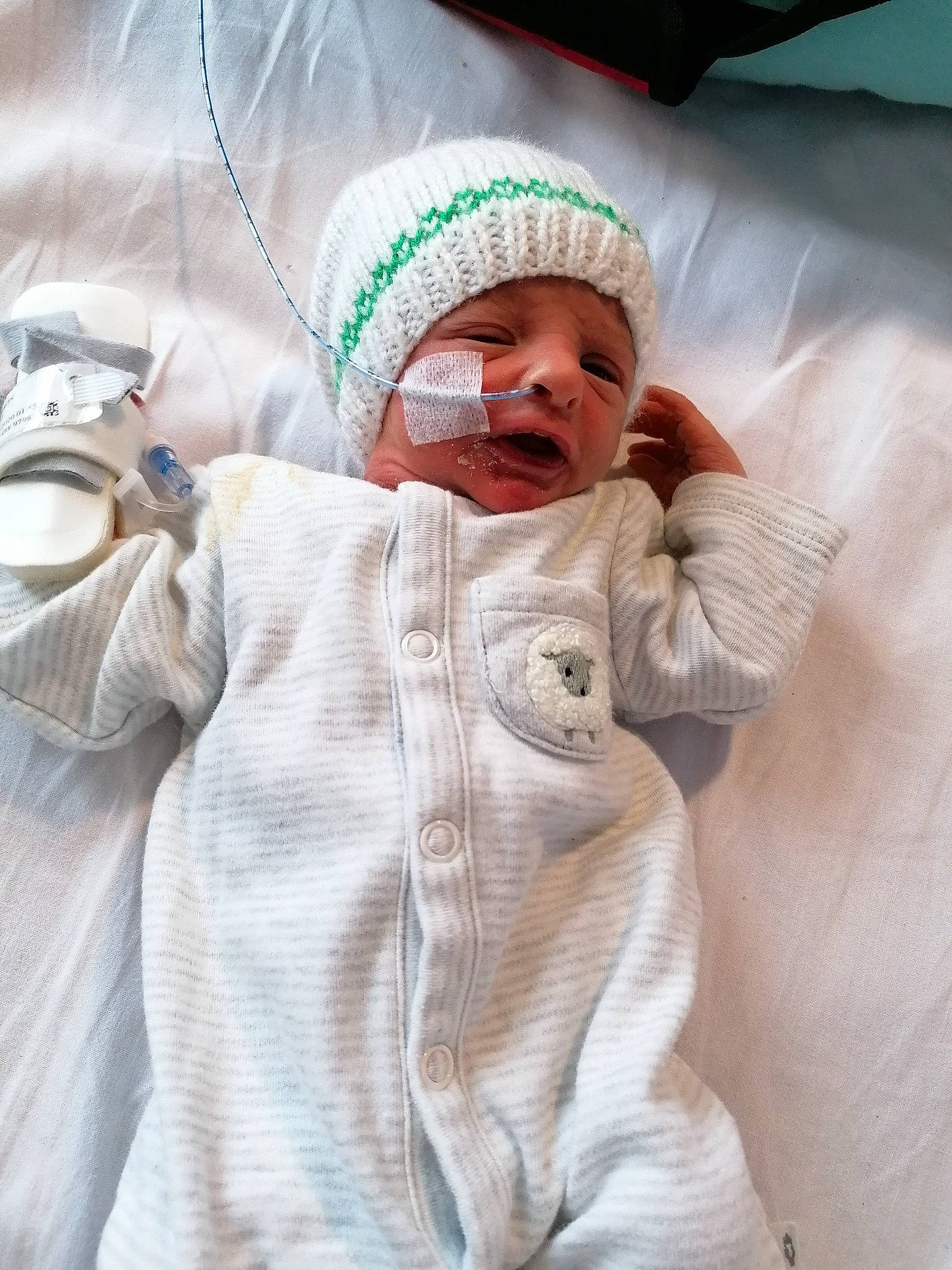 Reginald joined the competition — help win amazing prizes! baby, baby_safety, baby_sleeping, bedding, child, comfort, event, flesh, fur, headgear, hospital, human_body, linens, medical, person, room, service, skin, sleeve, toddler