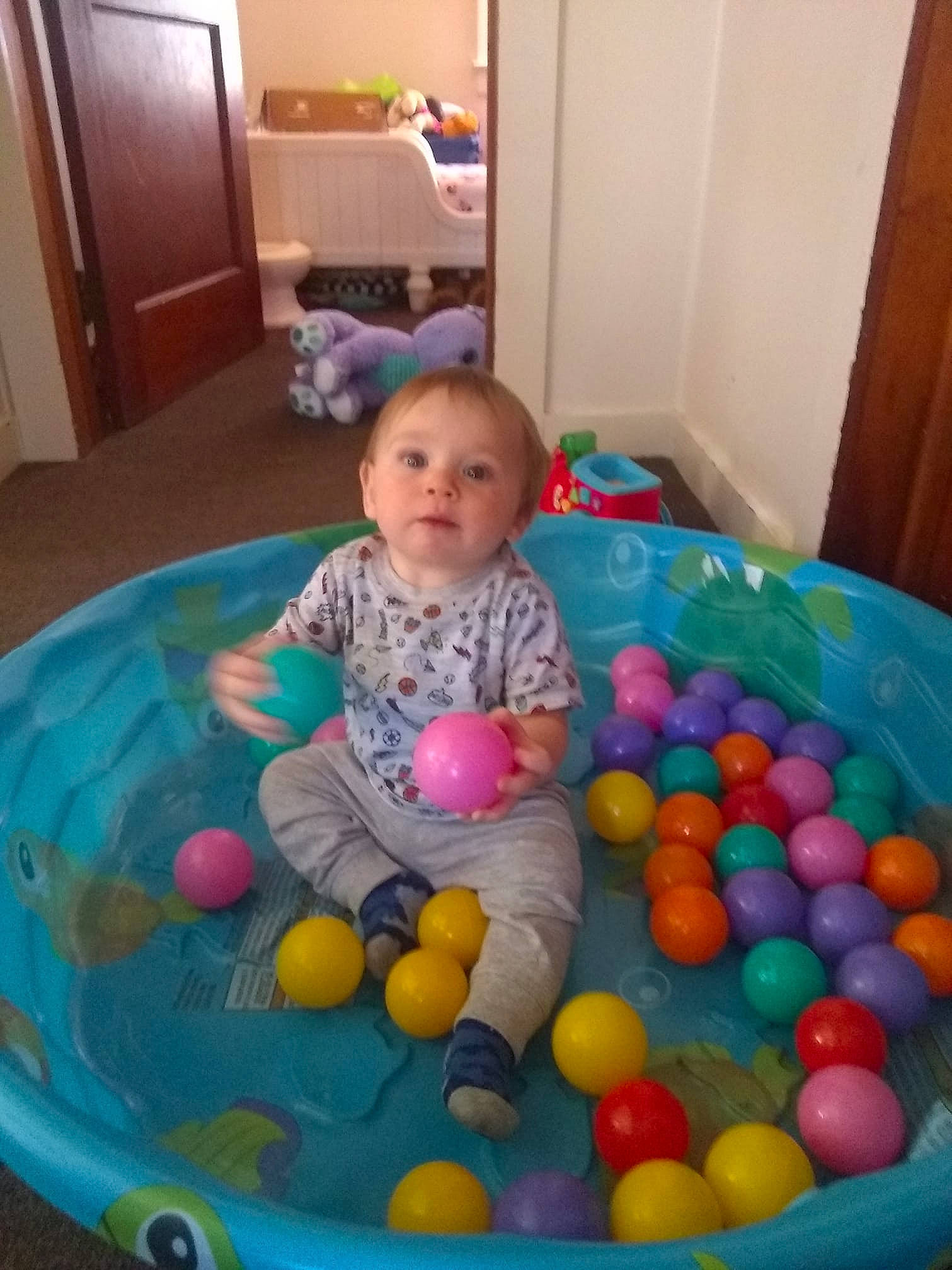 Robert joined the competition — help win amazing prizes! baby, baby_products, baby_toys, ball_pit, child, leisure, person, play, product, toddler, toy