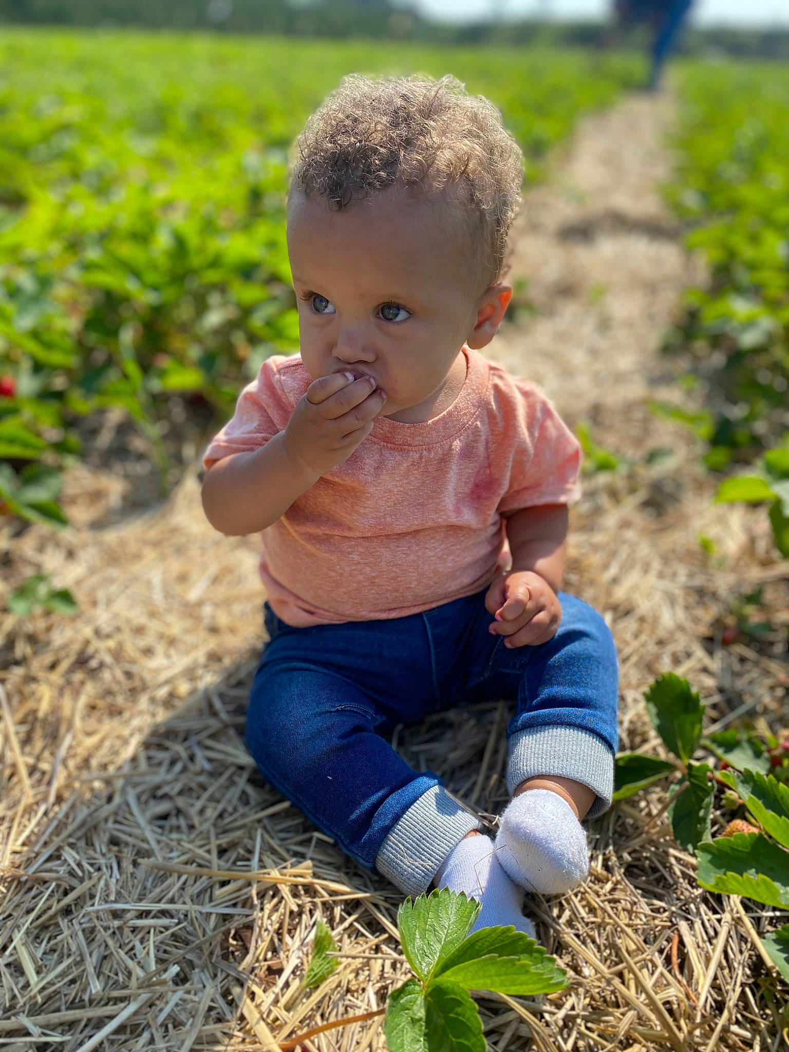 Ronan joined the competition — help win amazing prizes! adaptation, agriculture, baby, baby_toddler_clothing, child, face, field, fun, grass, grass_family, grassland, happy, head, people_in_nature, person, plant, sitting, soil, summer, t_shirt