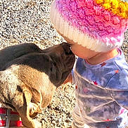 Pluto joined the competition — help win amazing prizes! child, toddler, dog, pet, kiss, winter_hat, colorful_hat, pom_pom, boots, collar, gravel, outdoor, sunlight, affection, cute, warm_clothing, sweatshirt, brown_fur, close_up, family_moment