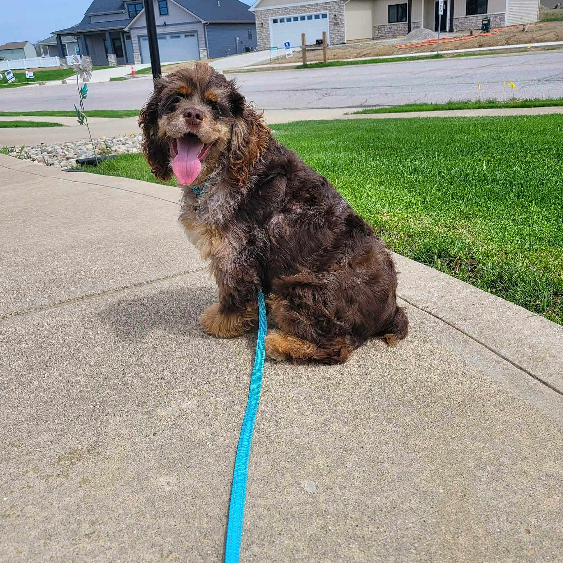 Rusty