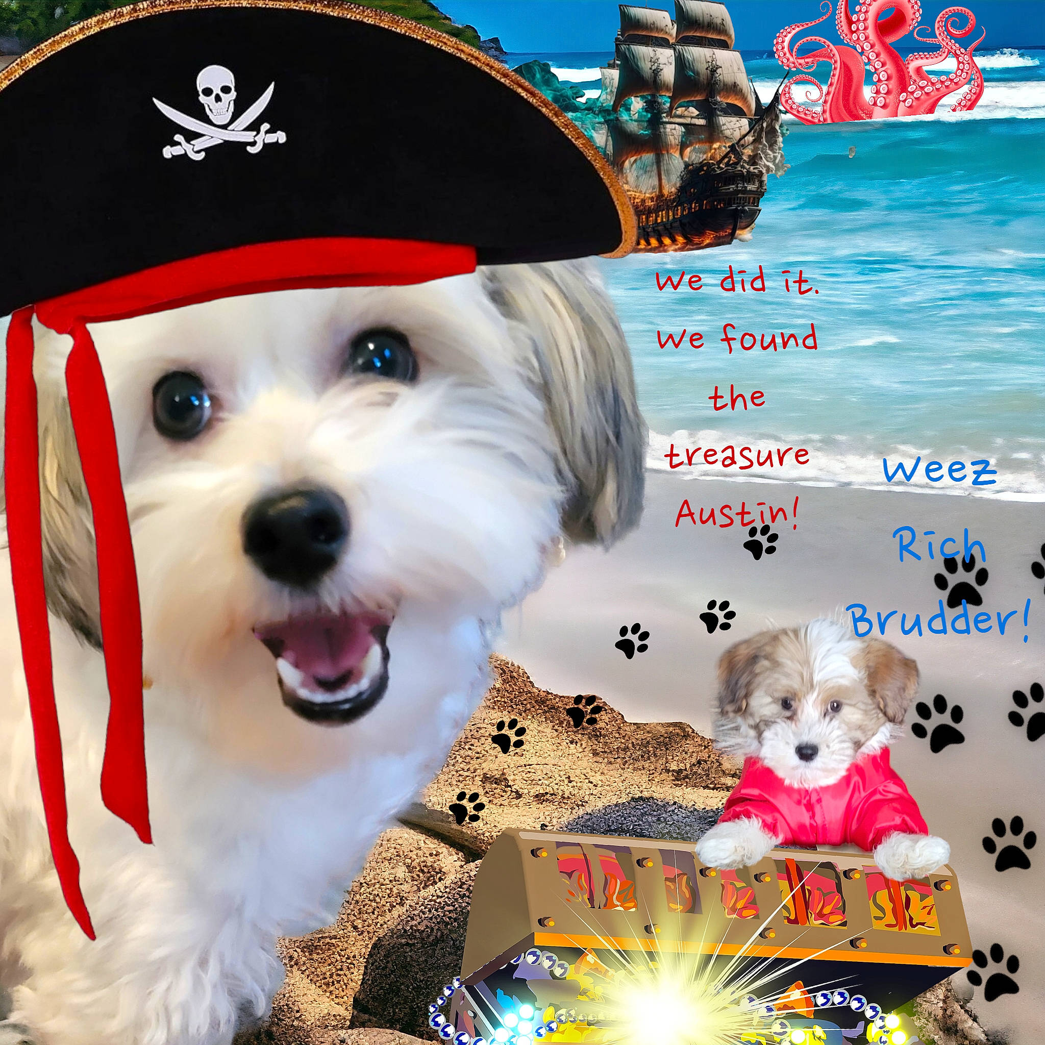Bentley Scott is registered to the contest to win money with this photo: art, canidae, carnivore, companion_dog, costume_hat, dog, dog_breed, dog_collar, dog_supply, event, fashion_accessory, font, fur, happy, hat, holiday, mammal, snout, sporting_group, toy_dog