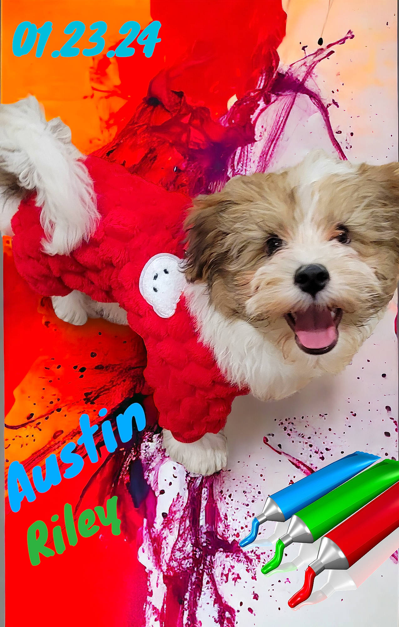 Austin Riley joined the competition — help win amazing prizes! advertising, art, carnivore, companion_dog, dog, dog_breed, dog_supply, event, font, graphic_design, graphics, happy, magenta, office_supplies, pet_supply, photo_caption, poster, toy_dog, working_animal, writing_implement