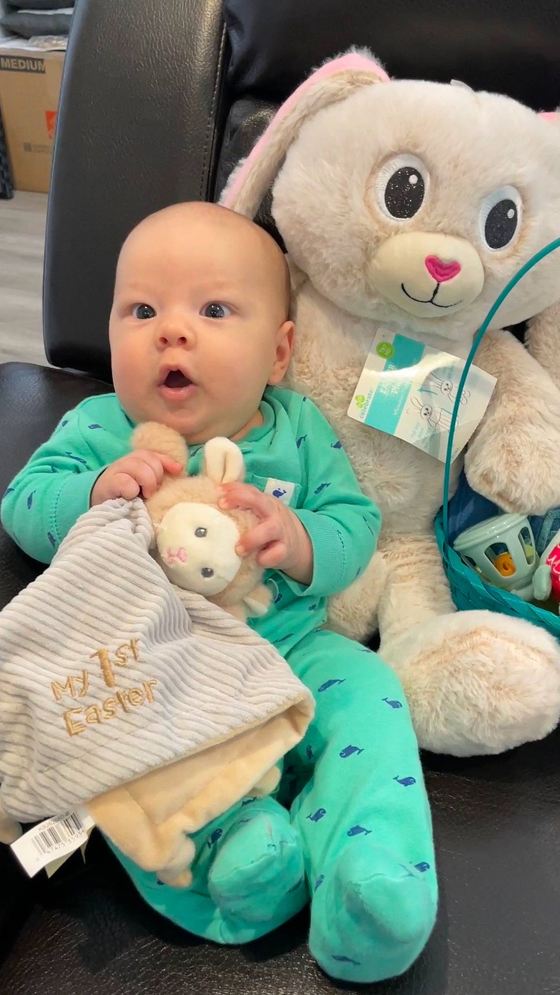 Grayson joined the competition — help win amazing prizes! baby_toddler_clothing, blue, comfort, doll, green, happy, mammal, organ, person, pink, plush, sitting, skin, snapshot, stuffed_toy, surprise, teddy_bear, textile, toy, vertebrate