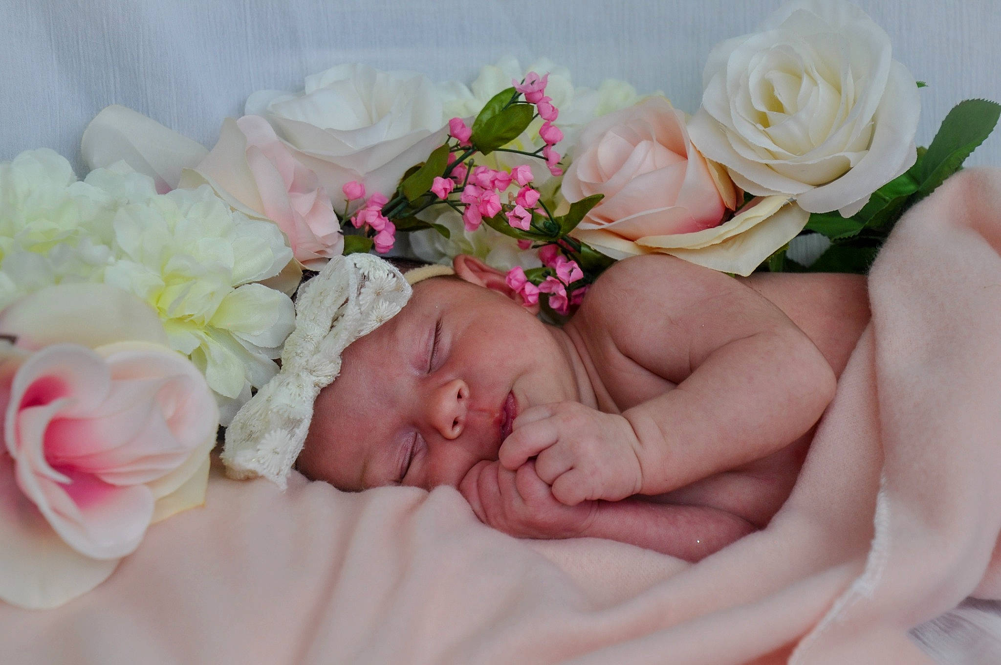 Bonnie joined the competition — help win amazing prizes! artificial_flower, baby, baby_sleeping, baby_toddler_clothing, comfort, finger, flower, flower_arranging, hand, headgear, headpiece, hybrid_tea_rose, linens, nail, person, petal, pink, rose, skin, textile