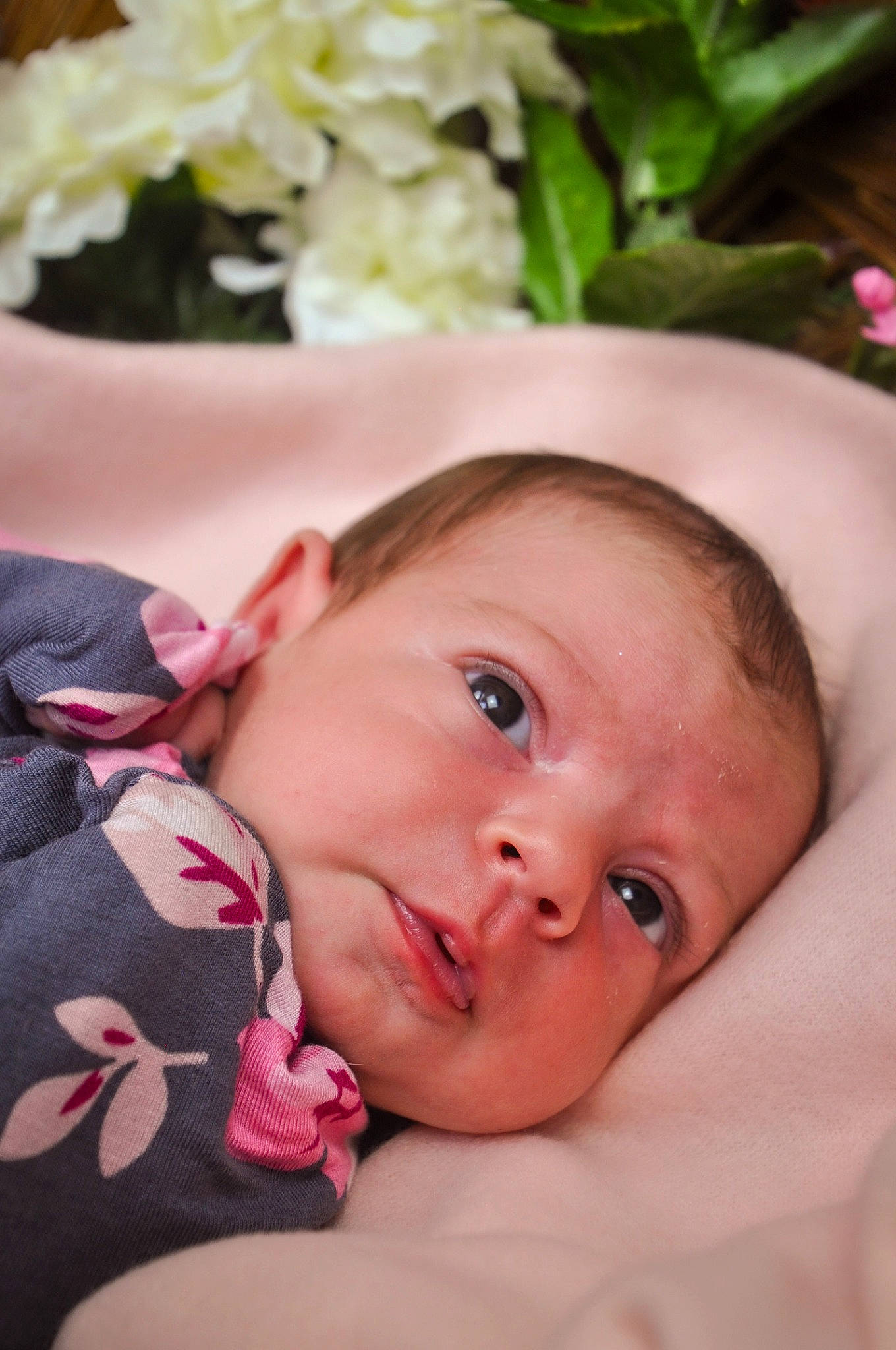 Bonnie joined the competition — help win amazing prizes! baby, bouquet, cheek, child, event, eyelash, flower, flower_arranging, grass, happy, iris, lip, person, petal, pink, plant, rose, skin, textile, toddler