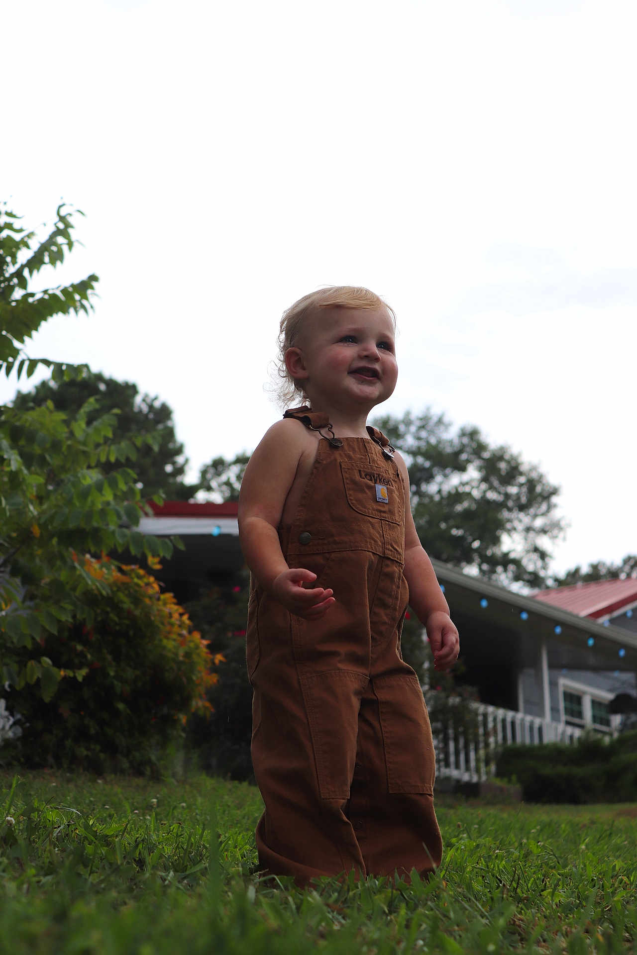 Layken is registered to the contest to win money with this photo: toddler, child, smiling, overalls, grass, outdoor, house, greenery, bushes, daylight, portrait, happy, person, nature, young_child, casual_clothing, front_yard, curly_hair, sunlight, playful