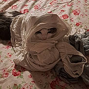 Stitch participe au concours pour gagner de l'argent avec cette photo : animal, baby, bed, blanket, bonnet, cat, clothing, flower, furniture, hat, homedecor, hood, hoodie, knitwear, linen, person, pet, plant, quilt, rose