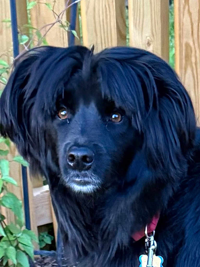 Milo
