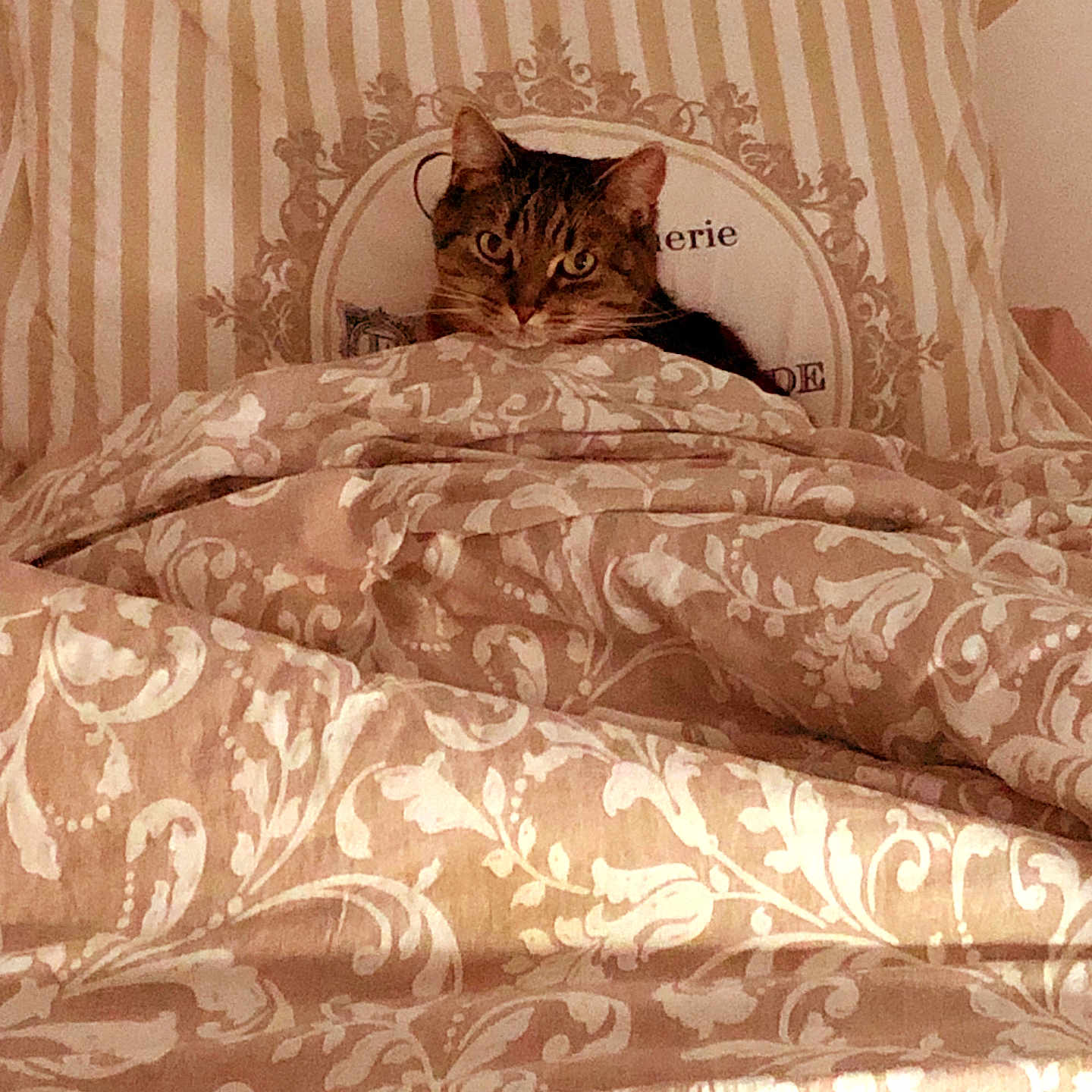 Diminou