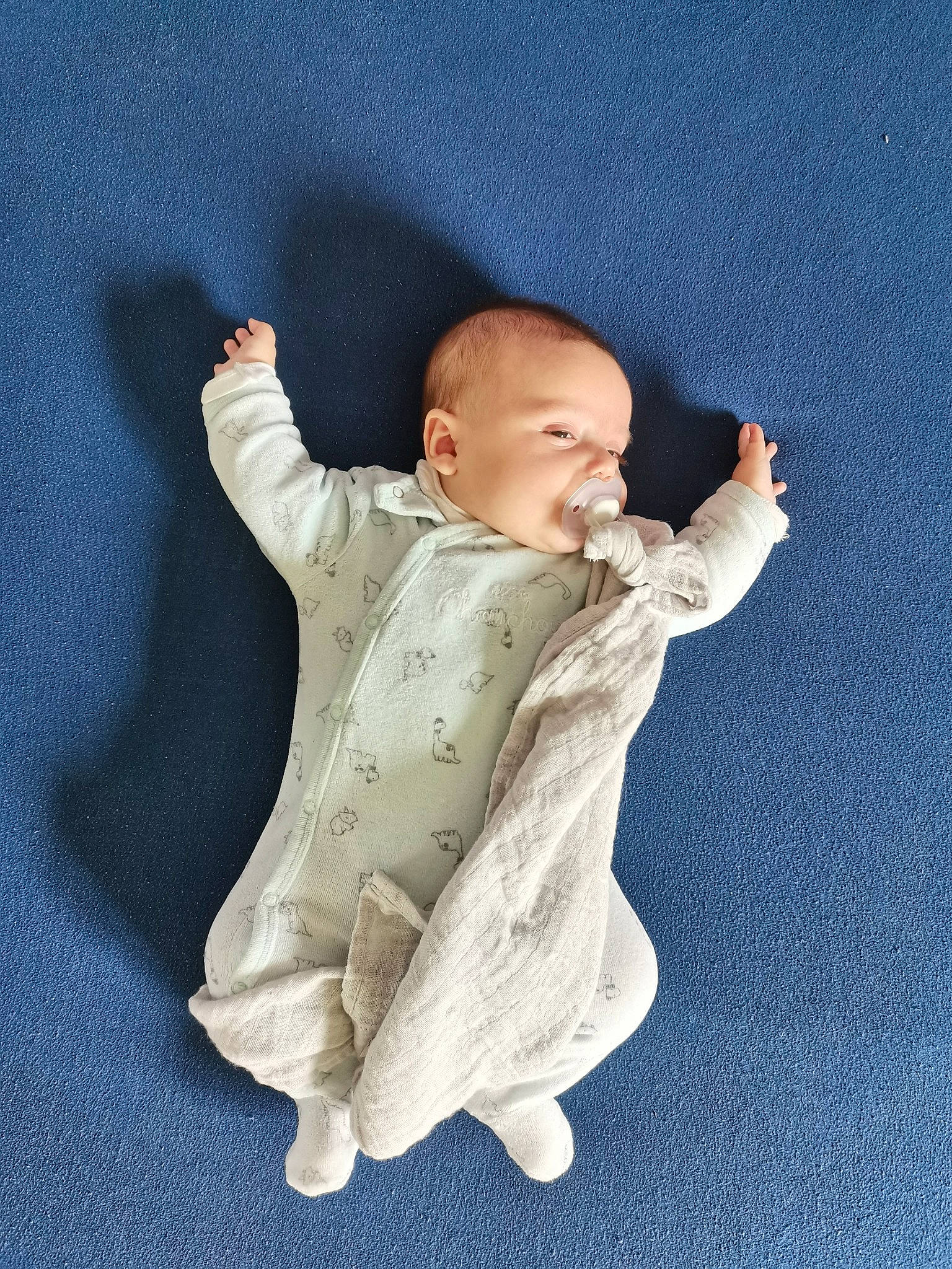 Titouan participe au concours pour gagner de l'argent avec cette photo : arm, baby, child, figurine, person, standing, toddler