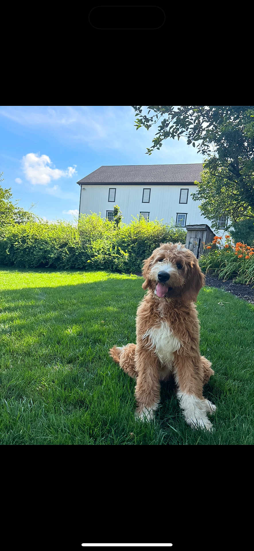 Bella