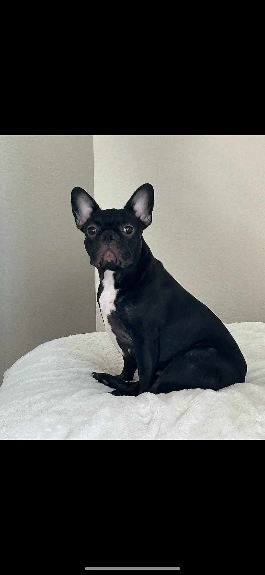 Lila