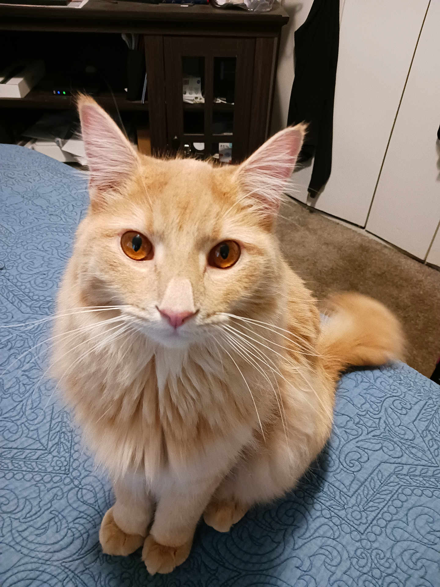Mister