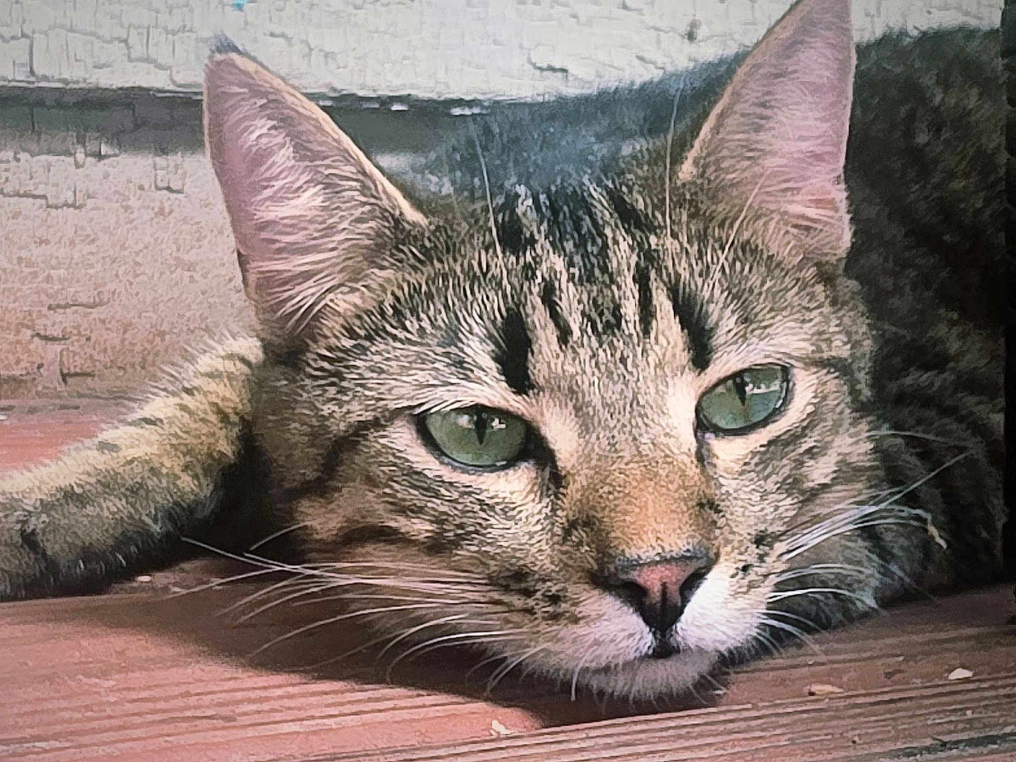 Artemis
